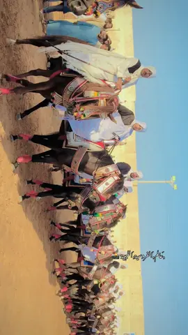 عقد نادي زليتن#بسم_الله_تبارك_الله❤️🧿 #خيل_عربي_اصيل #خيل_وخياله🐎 