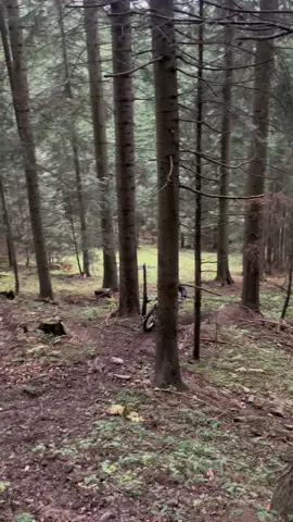 Kayo power #kayo #k2pro #250 #enduro 