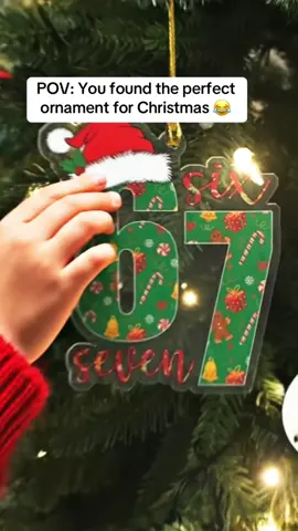 Dont miss this ornament  #67 #sixseven #ornaments #christmas #christmasgiftideas 