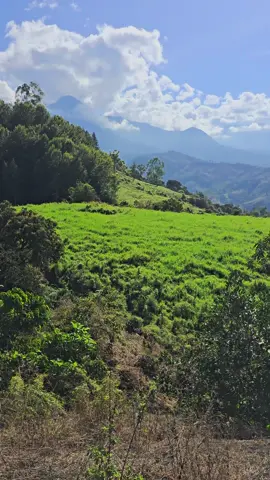 #viral #tiktok #videoviral #campo 