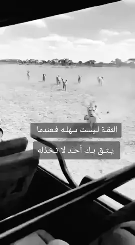 #القران_الكريم #fey #لايكات #rival #الثقه ليست سهله فعندما يثق بك احد لاتخذله 