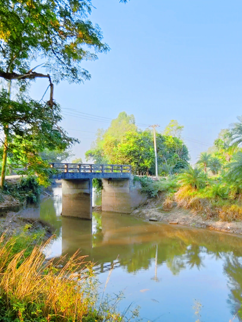 জায়গাটা কেকে চিনো কমেন্ট করো #gohal #tendingsong #viralvideo #videoviral #viralmusic 