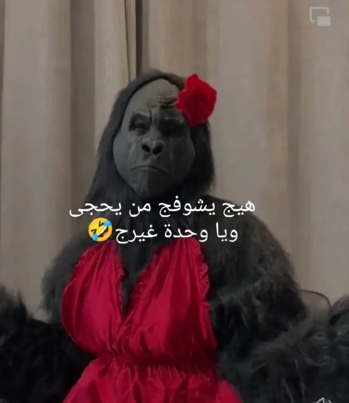 هيج يشوفج من يحجي ويا وحدة غيرج🤣