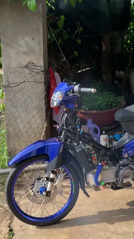 Sắp tết rồi🤣#pdmshop#si4val #siriusđộkiểng #xuhuongtiktok 