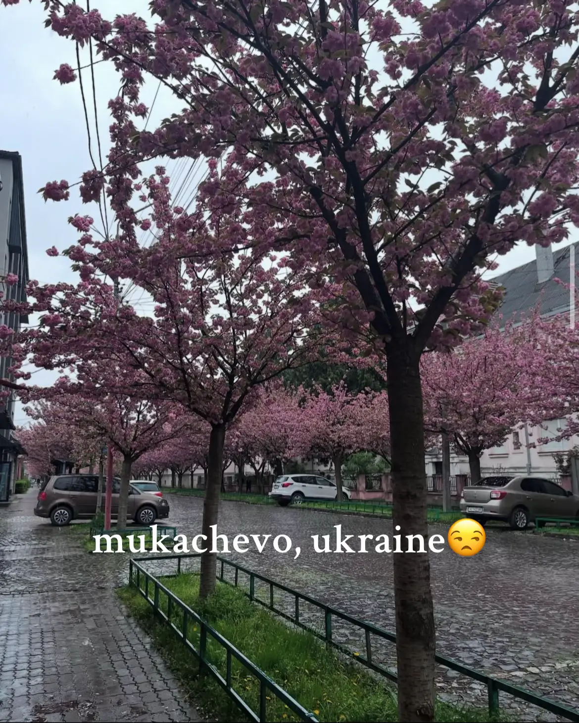 🇯🇵🇯🇵🇯🇵