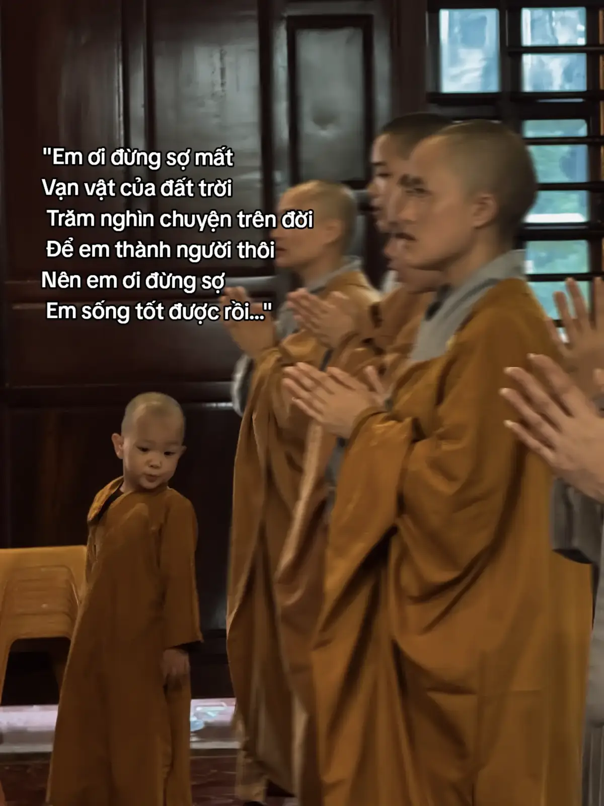 em ơi đừng sợ mất...🪷🙇 #phatphapnhiemmau #chuaThienTruc #nammoadidaphat #viral 