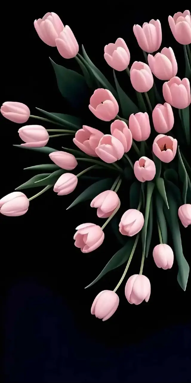 wallpaper ideas  #flowerwallpaper #wallpapersphoto #butterfulwallpaper #cutewallpapers #✨🖤 