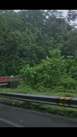 #viralyendoachachapoya💚💚🌴🌴💚💚