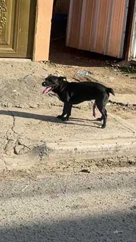 #contenido #fyp #fyp 