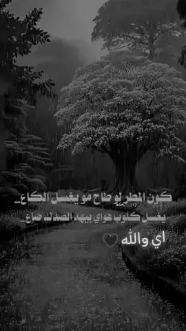 ##CapCut#ستوريات_متنوعه #حزينہ♬🥺💔 #كون_المطر_لو_طاح_مو_يغسل_الكاع # 