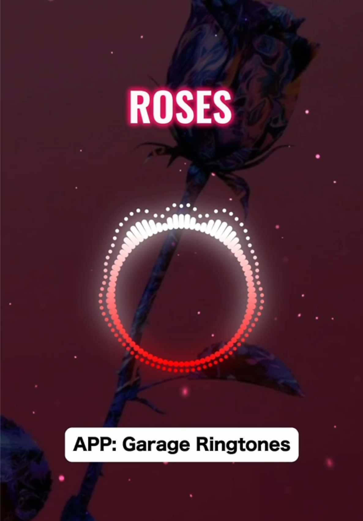 David Guetta ringtone ✨🎶 #rose #davidguetta #ringtone 