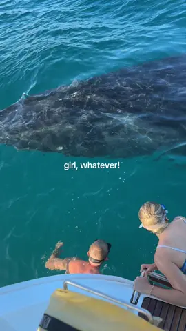 I will never stop talking about this 😅😭#swimmingwithwhales #whales #ocean #fyp 