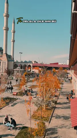 Tû delala dıle mın bu#erciş #vanerciş #fypシ゚ #CapCut 