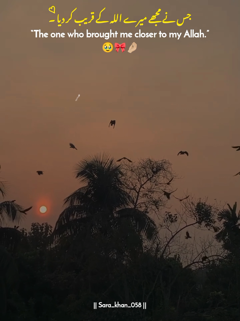 The one who brought me closer to my Allah.🥹🤌🏼🎀 | | sad status video 🥹🙌🏼❤️ | | 150k 🥹 #sad #hearttouching #statusvideo #plzunfrezemyaccount #foryoupage @TikTok @tiktok creators @tiktok pakistan official 