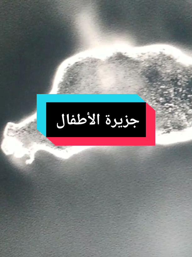 #ايلون_ماسك #جزيرة_سرية #ادرينوكروم #الاطفال #حقيقة_مؤلمة 