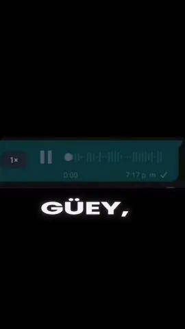 #guey #ayudame #audiosdewhatsapp #mirealyyo 