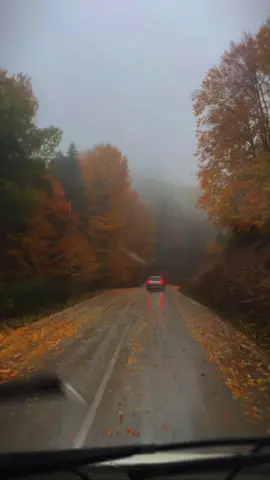 İnsan diyorum... Dağları tepeleri aşarda Ufacık bir hatıraya yenilir…🍂🍁🍂