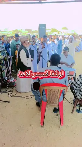 #creatorsearchinsights #tiktoklive #livehighlights 