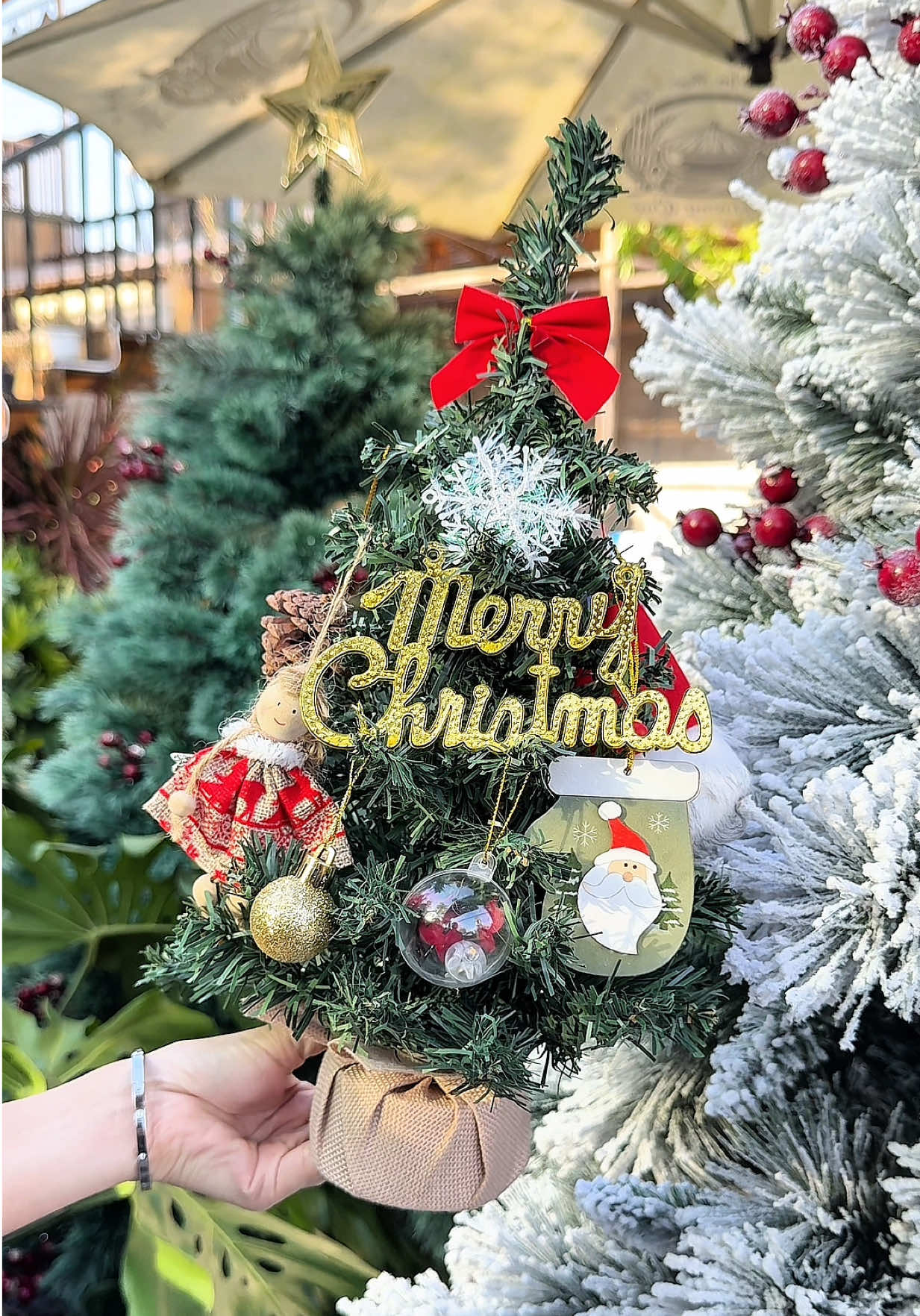 Cây thông trang trí Noel nhỏ nhỏ mà xinh lắm luôn mọi người ơi 🎄🎄 #trangtrinoel #noel #noel2026 #caythongnoel #giangsinh  @𝗕𝗲́ 𝗧𝗵𝘂́𝗶 𝗥𝗶̀ 𝗩𝗶𝘂🍒  @𝗕𝗲́ 𝗧𝗵𝘂́𝗶 𝗥𝗶̀ 𝗩𝗶𝘂🍒  @𝗕𝗲́ 𝗧𝗵𝘂́𝗶 𝗥𝗶̀ 𝗩𝗶𝘂🍒 