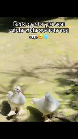 ডিয়ার ২৬ সাল তুমি এসো আমার স্বামীর সফলতার বছর হয়ে🥺❤️