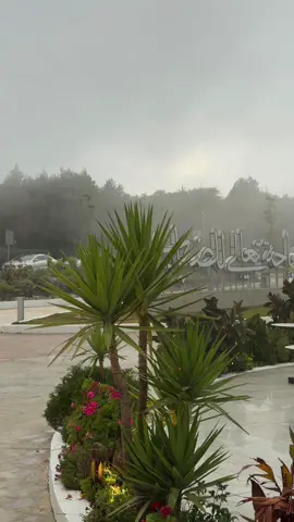 باحة تعالي الضباب❣️.#اكسبلورexplore #foryou #fypシ゚ #تصويري📸 #الباحة 
