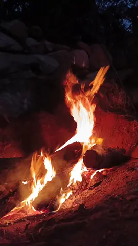 #شعر #شعراء_وذواقين_الشعر_الشعبي #اكسبلور #اكسبلورexplore #تصميم_فيديوهات🎶🎤🎬 