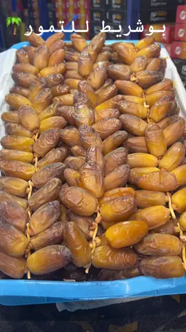 #دقلة_نور🌴🌴