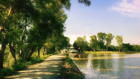 Thích cảm giác đạp xe đi dạo mỗi buổi chiều ở quê🍃  #chill #binhyen #viral #fyp 