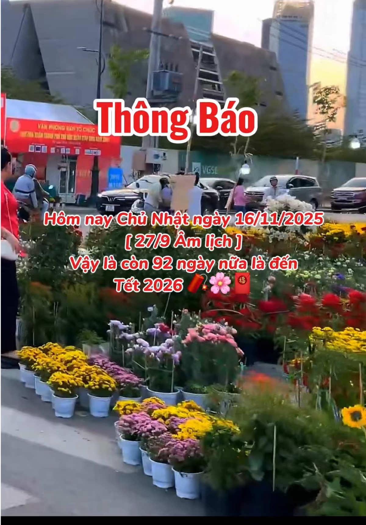 Sắp đến Tết rồi nhanh thật đấy .. #tet #tet2026 #tet2026🧨🌸🧧 #vequeantet #xuhuong 