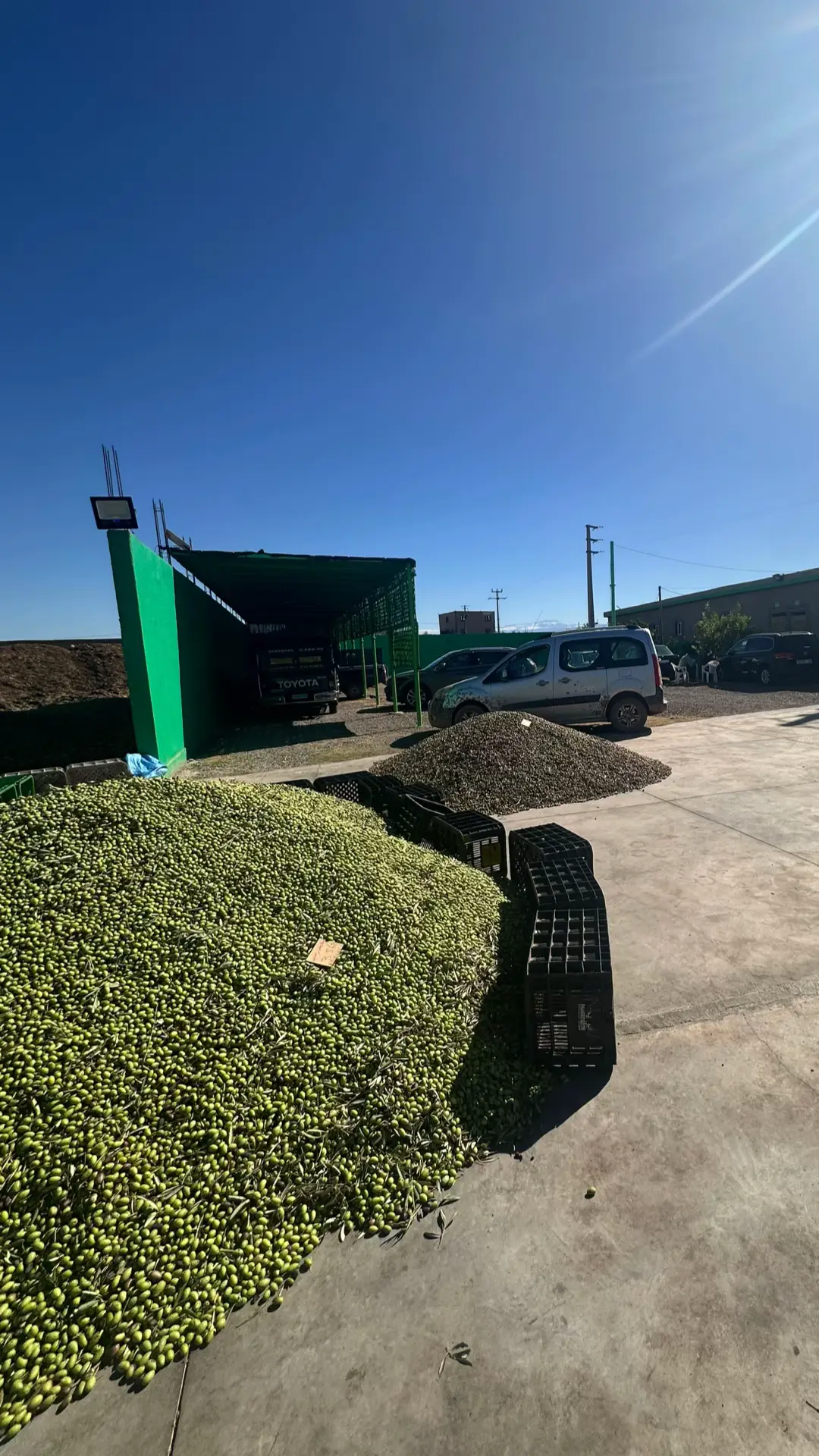 ←-# من قلب العطاوية زيت زيتون الأصلي - لون أخضر، بنّة قوية، وريحتو تشهد على الجودة. ← - من المعصرة العصرية مباشرة كتوصل لعندك حتى للدار ٥* #قلعة السراغنة #بني_ملال #الفقيه_بن_صالح #زيت_الزيتون #العطاوية