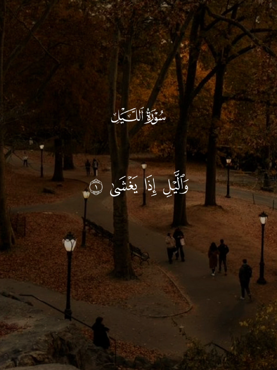 سورة الليل🤍 #قران #quran #قران_كريم #Allah #اللهم_صلي_على_نبينا_محمد 