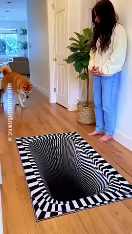 😂🐶👇Quando você vê um ‘buraco’ no tapete e já pensa que sua vida acabou… Mas era só drama mesmo! 😂🐾 Calma, doguinho… nem todo tapete é portal pra outra dimensão!😁😂❤️