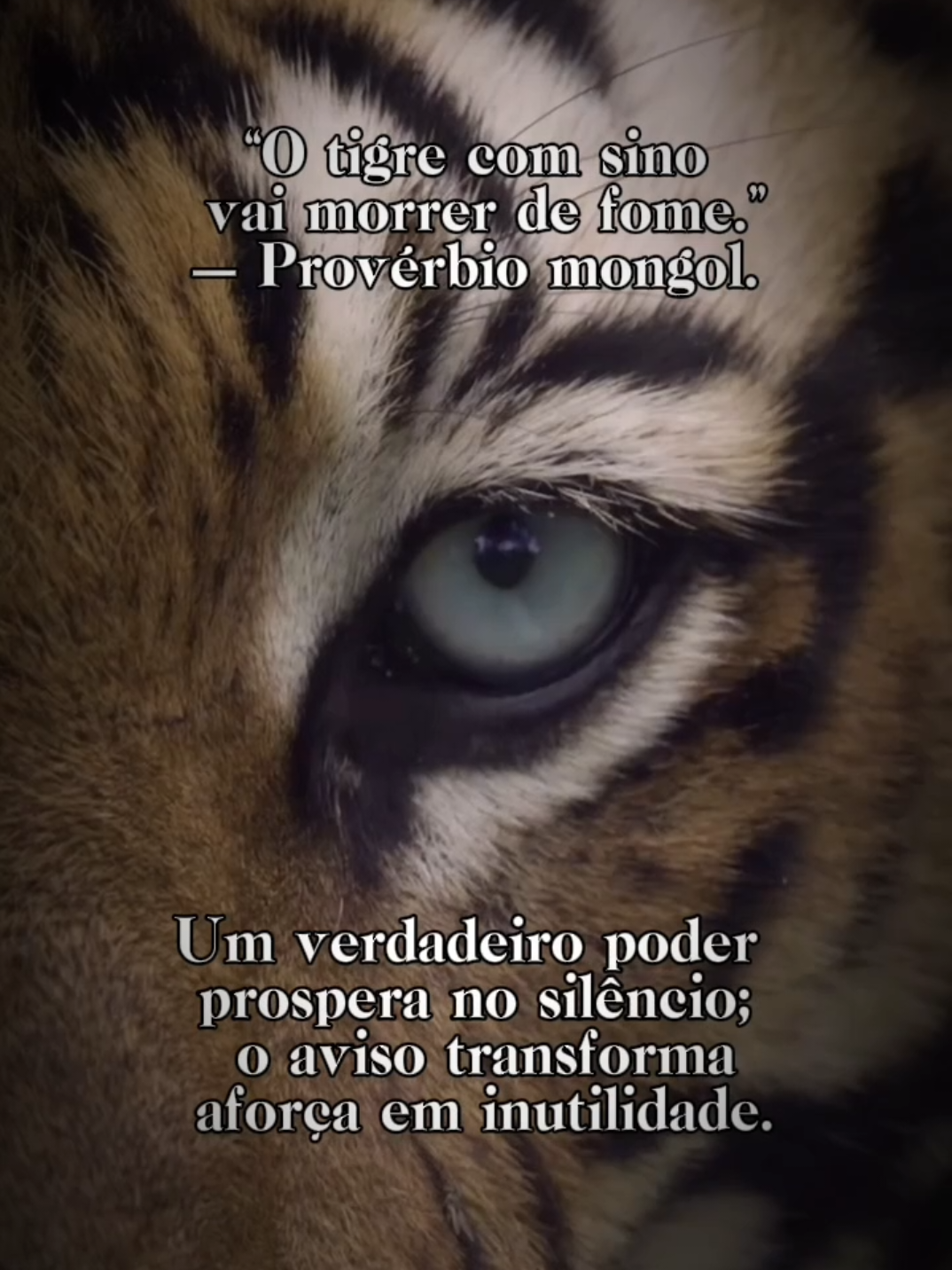 O Poder Que Mora no Silêncio Um lembrete de que força verdadeira não faz alarde — o aviso destrói a vantagem, e o silêncio preserva o poder. #Sabedoria #Provérbio #Estratégia #Silêncio #Reflexão