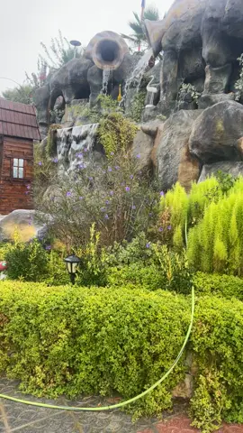 مطاعم وادي الضباب المزار الشمالي#عجلون_عمان_الاردن #foryoupage #fyp #السعوديه_الرياض_حايل_جده_القصيم_بريده #الادرن_عمان_اربد_الغور_الشمالي😌❤️  ترندات التكتك