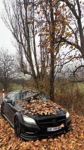 #keşfet #cls63s #🖤 #oc999oo #🍁🍂