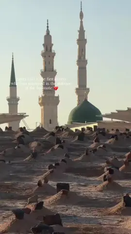 Haye Zahra 💔  #reel #fyp #explore #videoviral #trending 