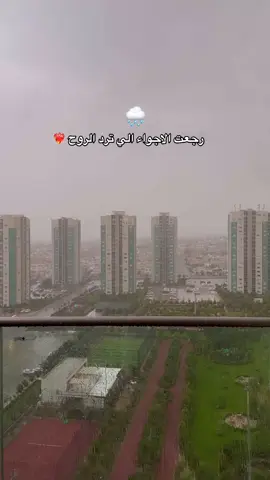 #السليمانيه_العراق #fypシ 