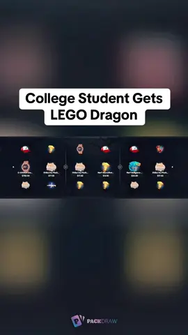 College Student Gets LEGO Dragon