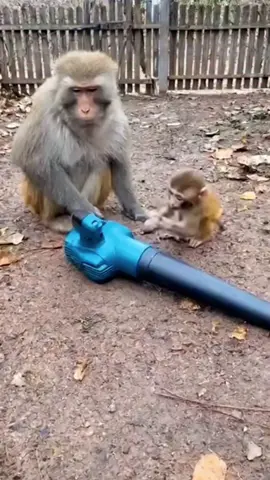 #goviral #trending #funnyvideos 