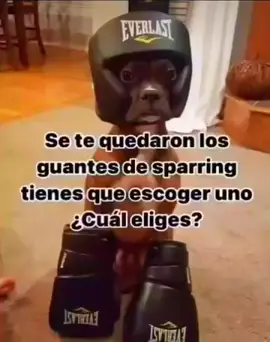 ᴇꜱᴛᴏʏ ᴇɴᴛʀᴇ ᴇʟ 𝟥 ʏ 𝟨 🙏🏻💔 #boxing🥊 #humor #viraltiktok 