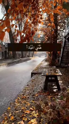 علمتني الحياة أن أتلقى كل ألوانها رضاً وقبولا 🥰#اللهم_هون_علينا_حمل_الحياة_وثقلها #اللهم_أستجب_لنا_كل_دعوة_دعونا_بها🙏 #قل_لن_يصيبنا_الا_ماكتبه_الله_لنا☝🤲🤍 #تصميم_فيديوهات🎶🎤🎬 #ترند_تيك_توك 