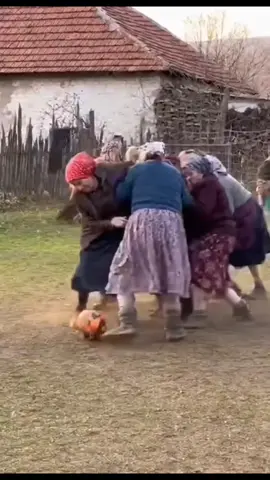 #caterinca🤣😂😂 