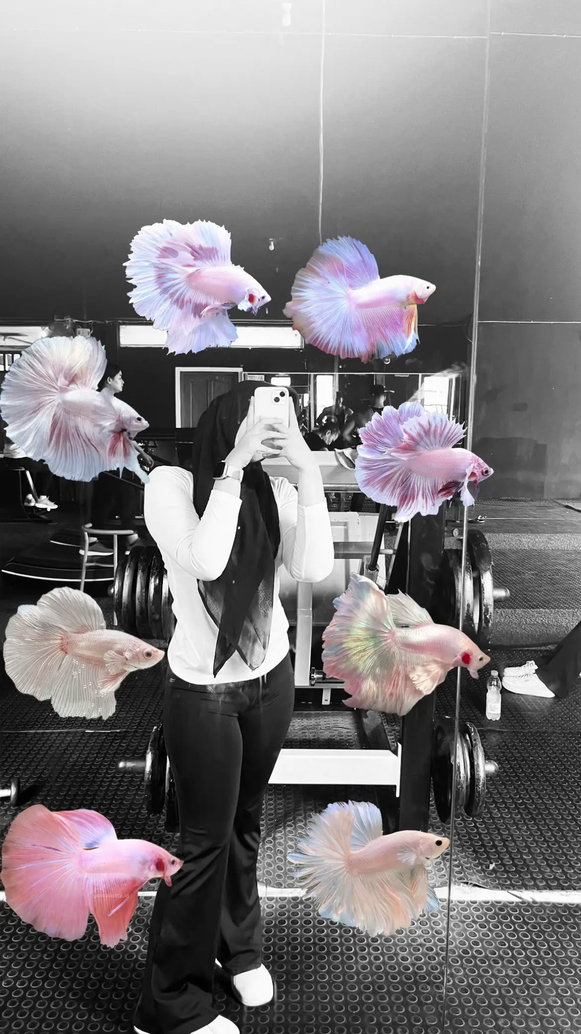 Jangan coba coba nanti ketagihan 🤭#bettafish#ikancupang#cupanghiasindonesia 