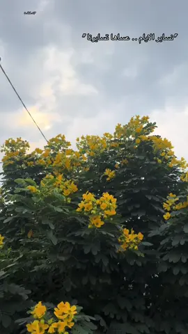 #محمد_عبد_الجبار #الشتاء #المطر #غيم #ميسان 