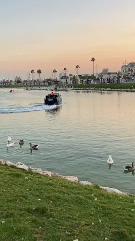 حظنا بالخبر وحظ الخبر فينا🤍🤍 #الخبر #بحيرة_البط #الواجهة_البحرية 