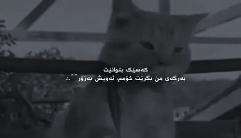 #foryou #fyp #parati #kurdistan #goranifarsi acc🥀