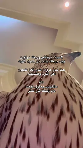 #fyyyyyyyyyyyyyyyy #4u #الموسم #بني_مروان 