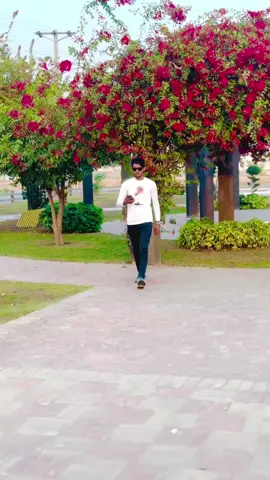 @Rafiq Mayo888 @Umair Akram 022 @🥷MEWATI EDITOR🥷 