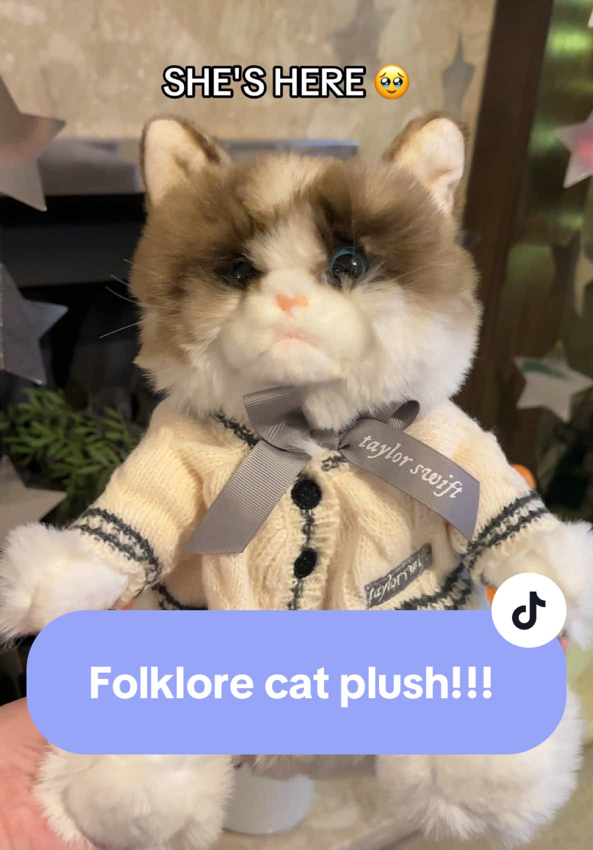 easiest money I've ever spent 🥹 lots of cuddles for this one #FolkloreCardigan #FolkloreCatPlush #FolkloreCat #TaylorSwift @Taylor Nation 