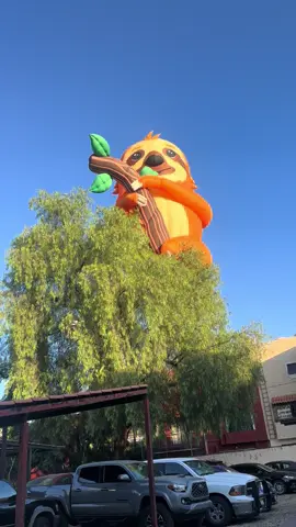 #fig2025 #festivalinternacionaldelglobo #FIG #fig #leongto 